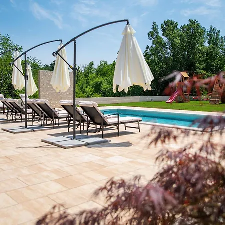 Amore, A Perfect For Families And Friends *